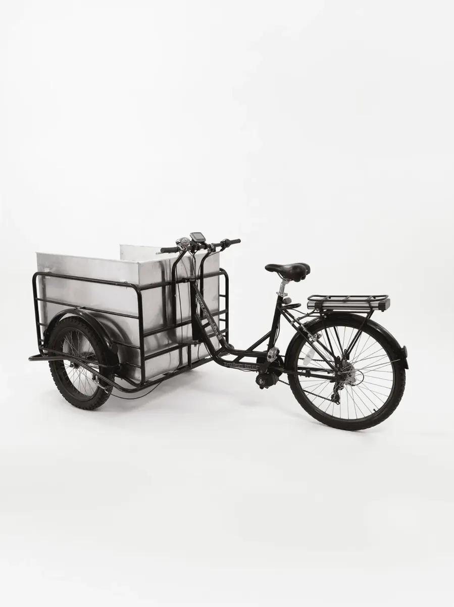 Cargo Bike Elettrica