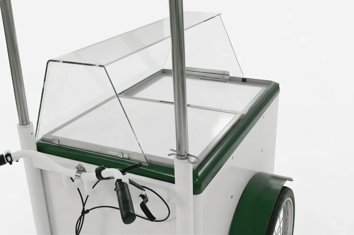 Cargo Bike Freezer